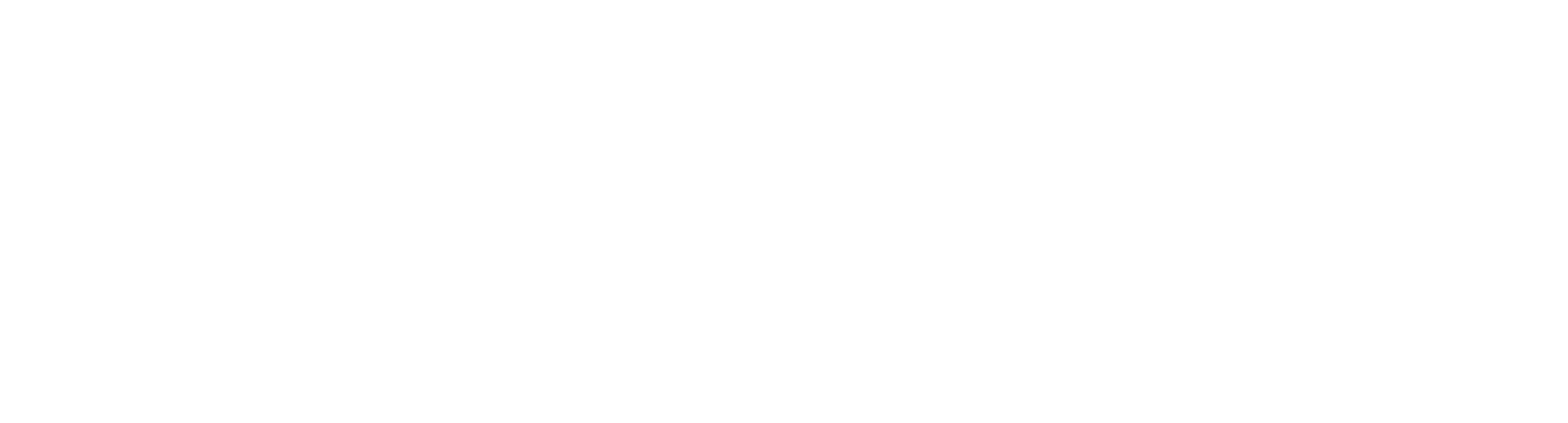 Geospatial Solutions LLC