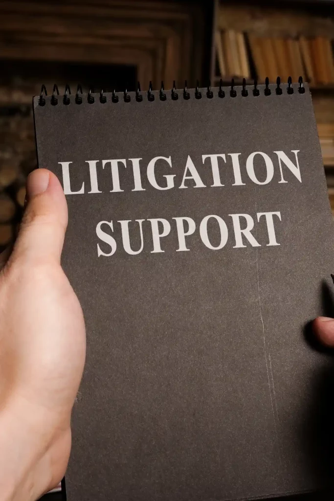 litigation support